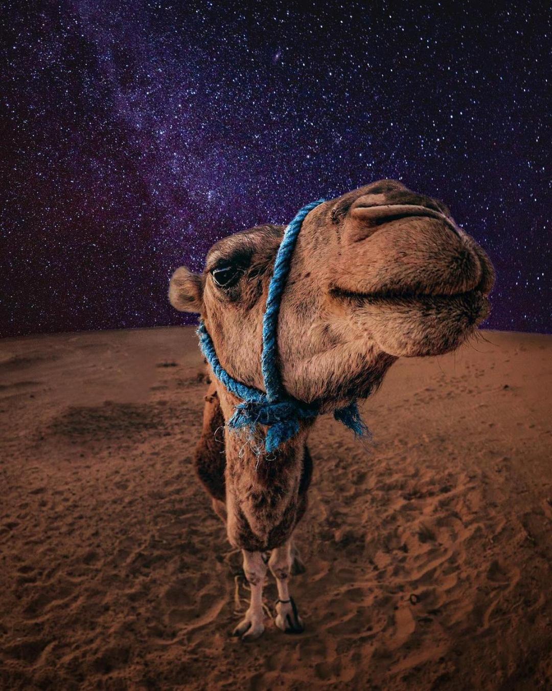 Merzouga Luxury Magic Nights Bagian luar foto